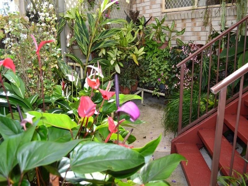 16 Melaleuca Street, Cooee Bay QLD 4703