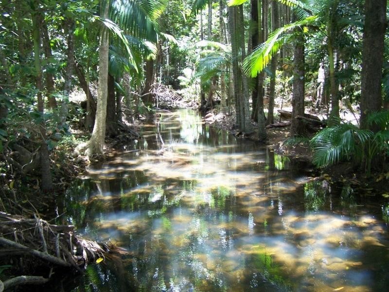 2386 Byfield Road, Byfield QLD 4703