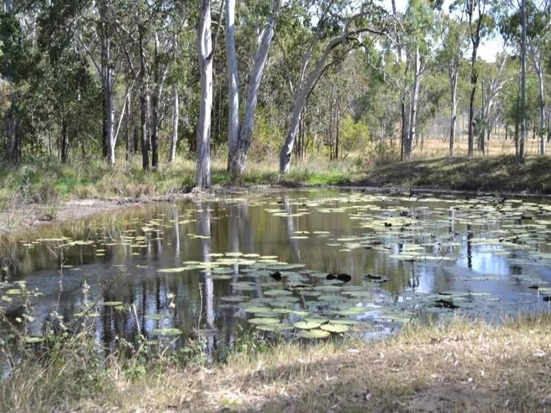 505 Tanby Road, Taroomball QLD 4703