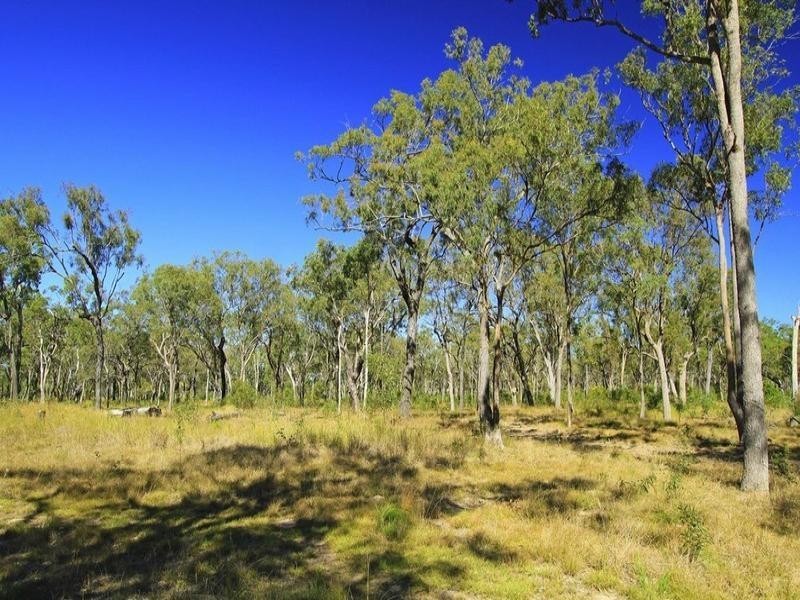 205 Hedlow Road, Cawarral QLD 4702