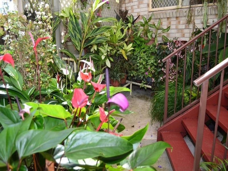 16 Melaleuca Street, Cooee Bay QLD 4703