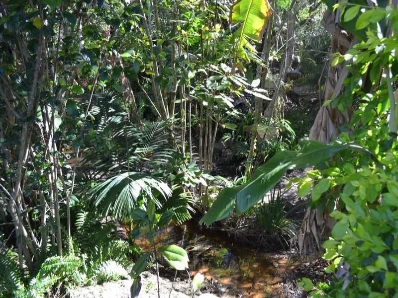 23 Forrester Way, Yeppoon QLD 4703