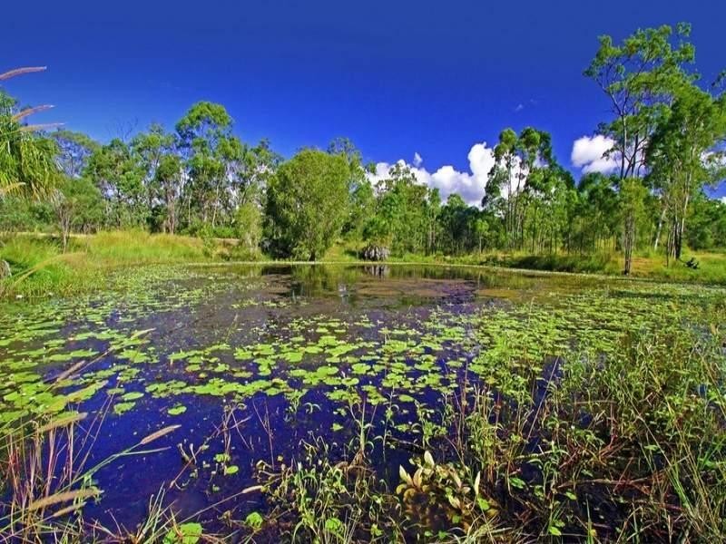 847 Keppel Sands Road, Coowonga QLD 4702