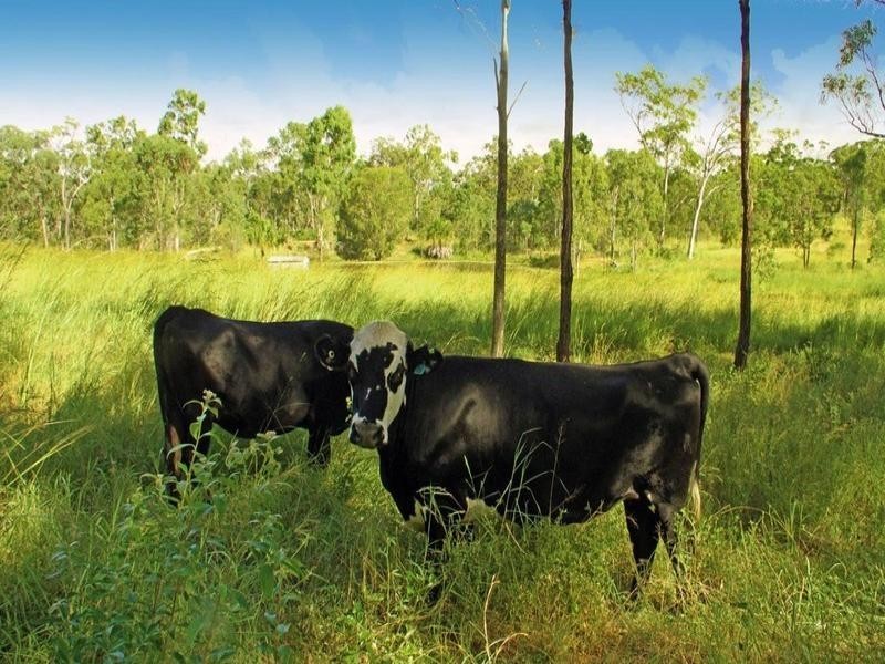 847 Keppel Sands Road, Coowonga QLD 4702