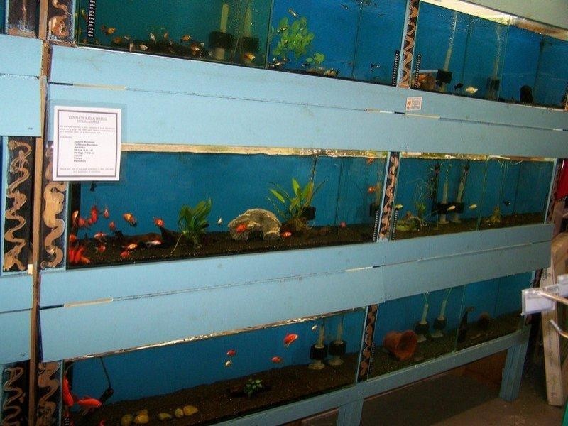 24 Tanby Road, Yeppoon QLD 4703