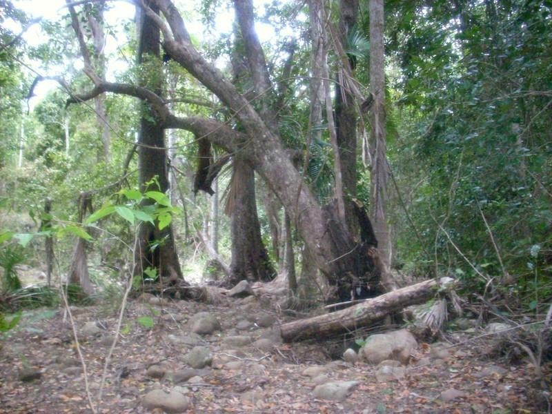 2428 Byfield Road, Byfield QLD 4703