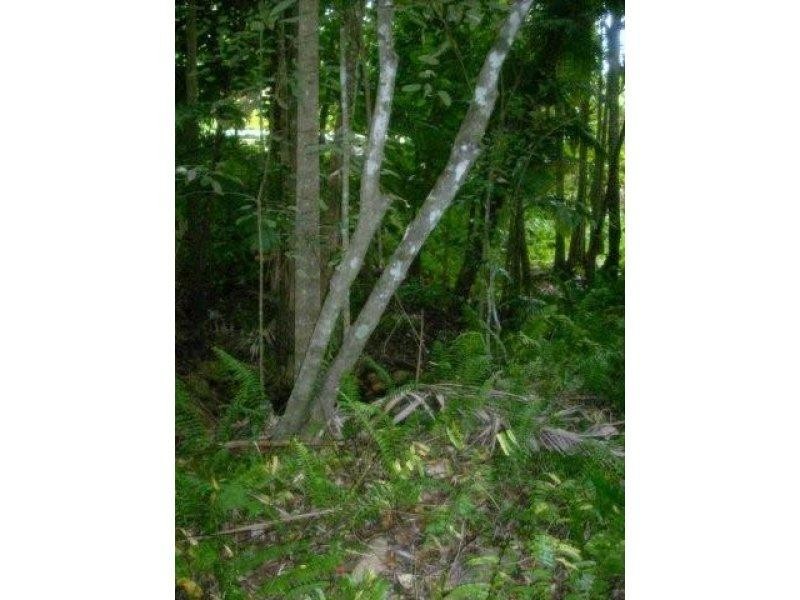 2428 Byfield Road, Byfield QLD 4703