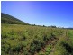 128 Vaughans Road, Adelaide Park QLD 4703