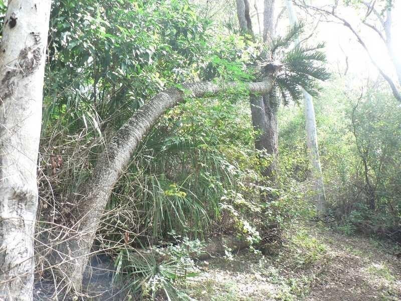 Lot 3 Crannys Road, Yeppoon QLD 4703