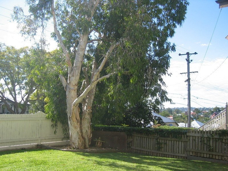 74 Montpelier Street, Grange QLD 4051