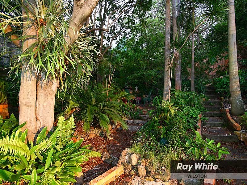 116 Gracemere Street, Grange QLD 4051