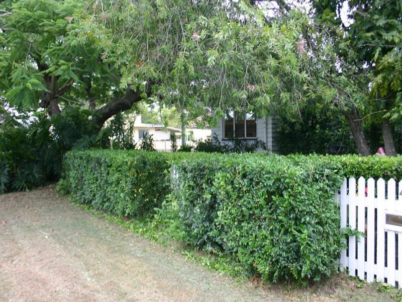 49 Agincourt Street, Grange QLD 4051