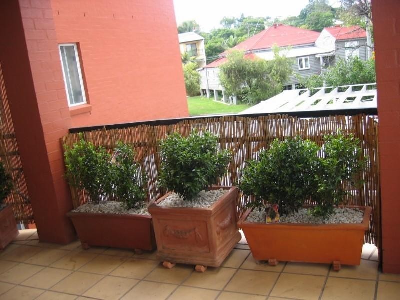 5/8 Stain Street, Wilston QLD 4051