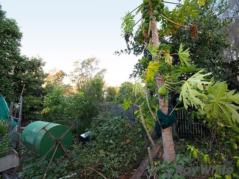 66 Abuklea Street, Wilston QLD 4051