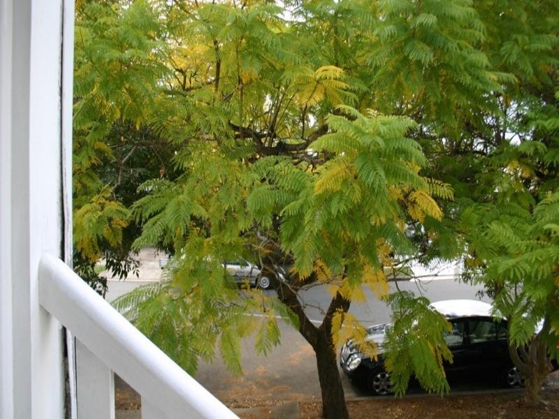 66 Garrick Terrace, Herston QLD 4006