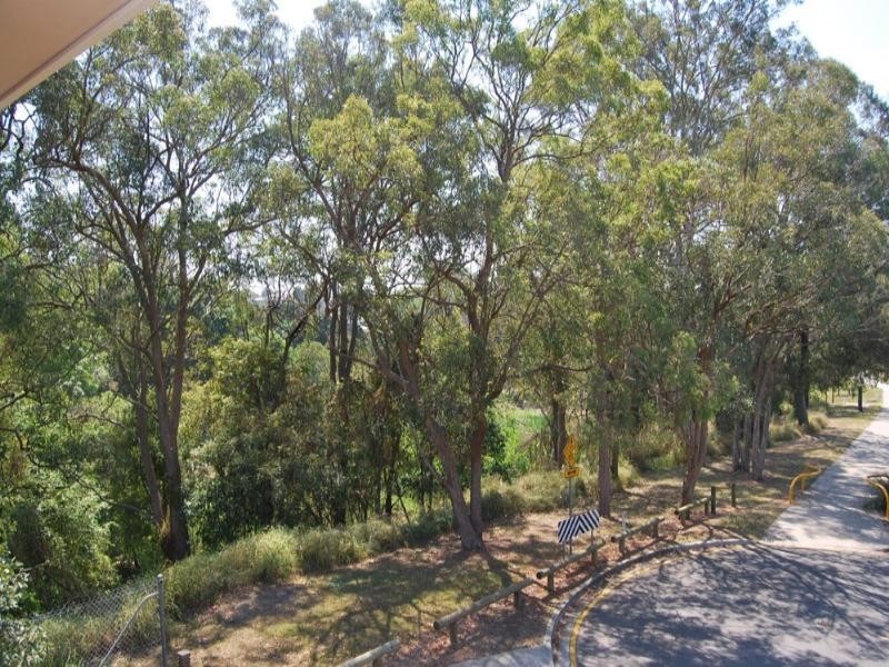 164 Bellevue Avenue, Gaythorne QLD 4051