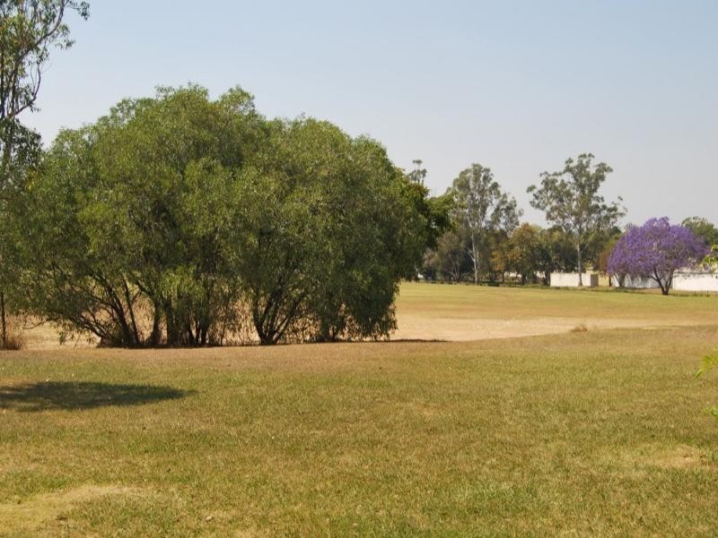 164 Bellevue Avenue, Gaythorne QLD 4051