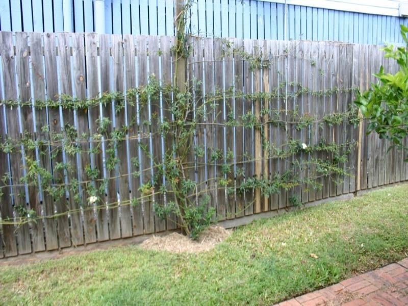 27 Montrose Street, Gordon Park QLD 4031