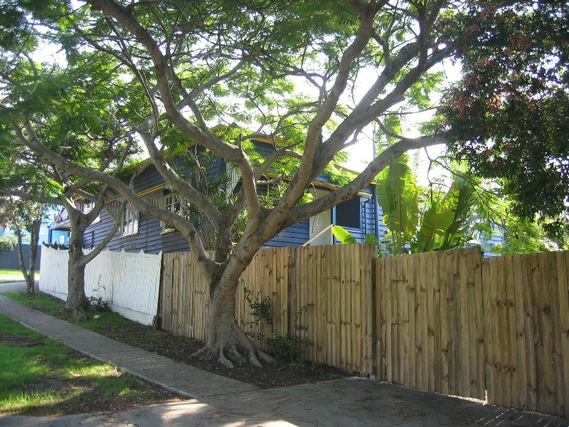 1 Daisy Street, Grange QLD 4051