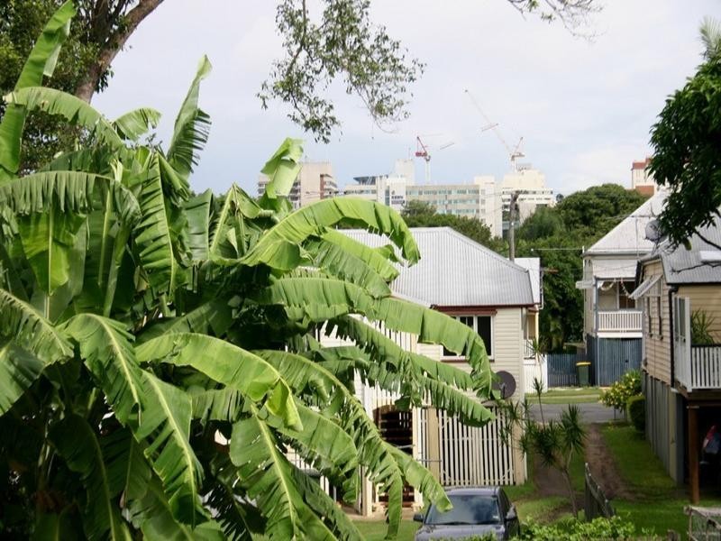 14 Walker Street, Windsor QLD 4030