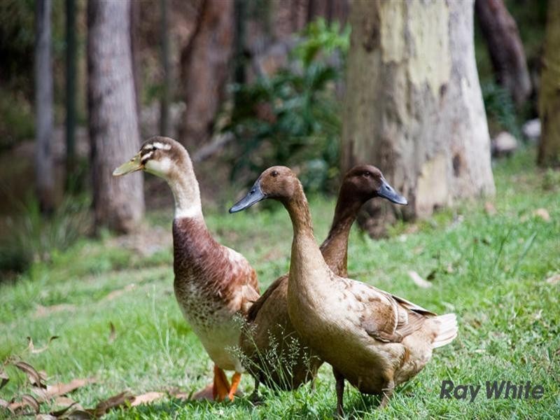 2 Lambert Court, Eatons Hill QLD 4037