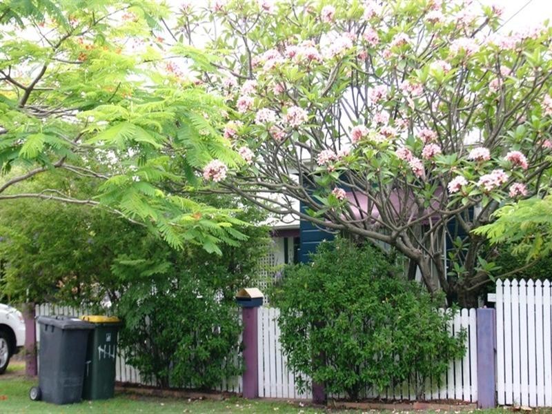5 Storkey Street, Windsor QLD 4030
