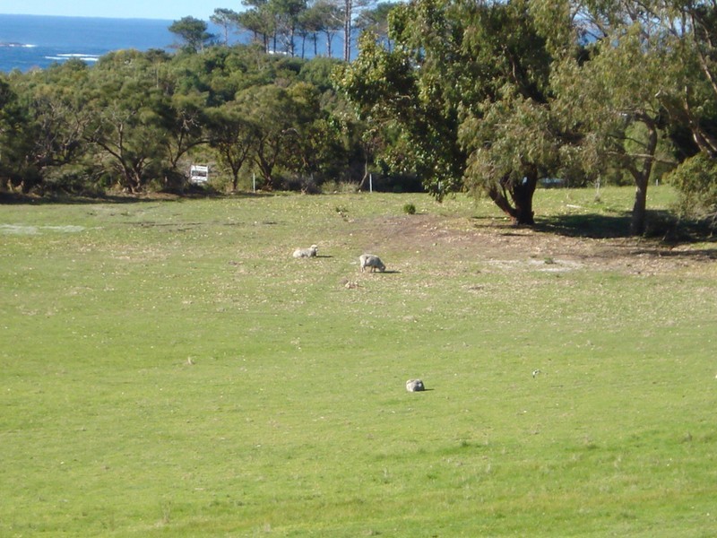 Lot 10 Cosy Corner Road, Torbay WA 6330