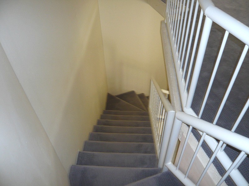 41 Sunrise Boulevard, Surfers Paradise QLD 4217