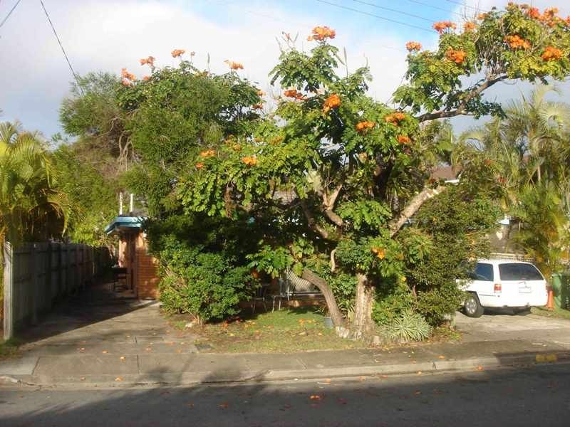 4 Schuster Avenue, Miami QLD 4220