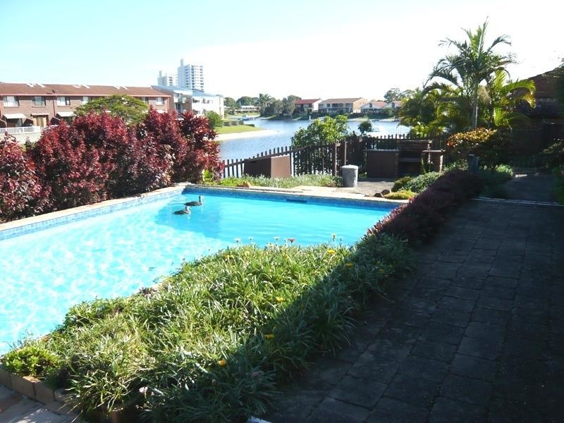 2/107 Sunshine Boulevard, Mermaid Waters QLD 4218