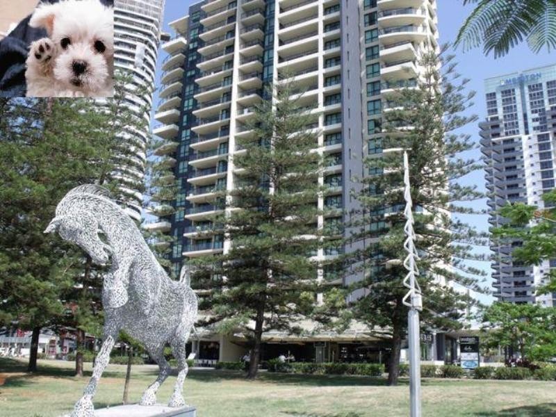 Broadbeach QLD 4218