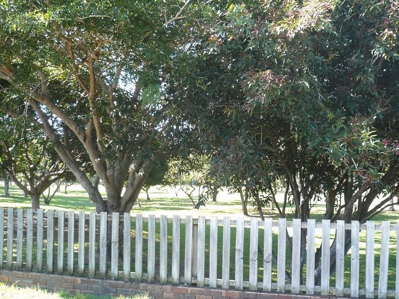 2/77 Mountainview Avenue, Miami QLD 4220