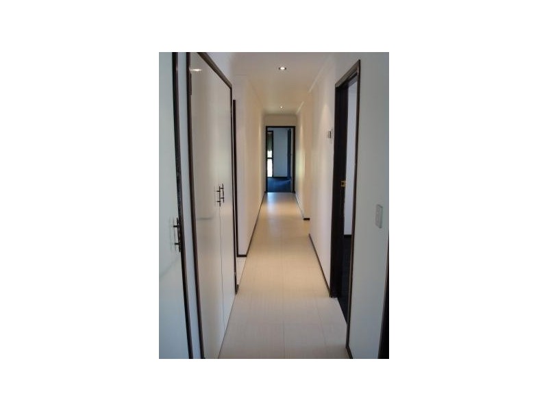 106 Campbell Street, Bundall QLD 4217