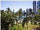 41 ‘River Park’, 40 Watson Esplanade, Surfers Paradise QLD 4217