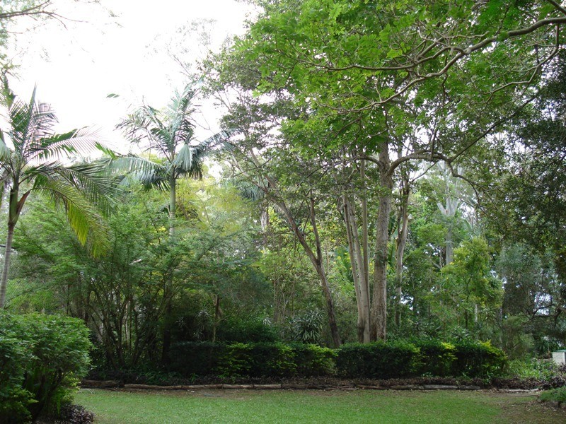 Broadbeach Waters QLD 4218