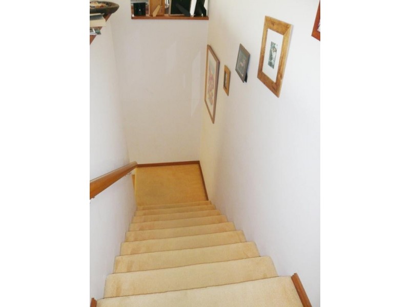 24b Lennie Avenue, Main Beach QLD 4217