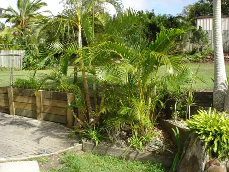 6 Guthrie Parade, Carrara QLD 4211