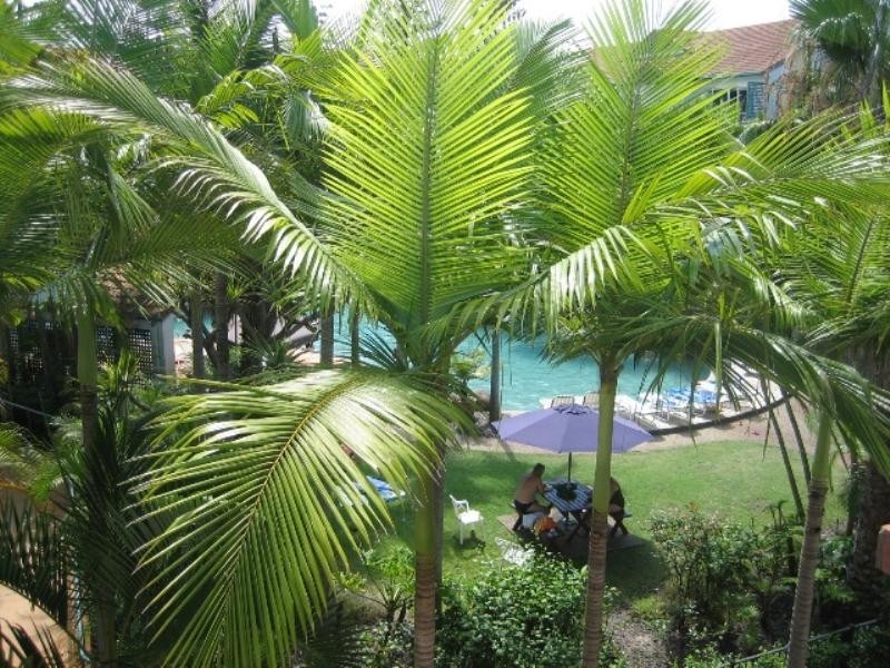 139/7 Redondo Avenue, Miami QLD 4220