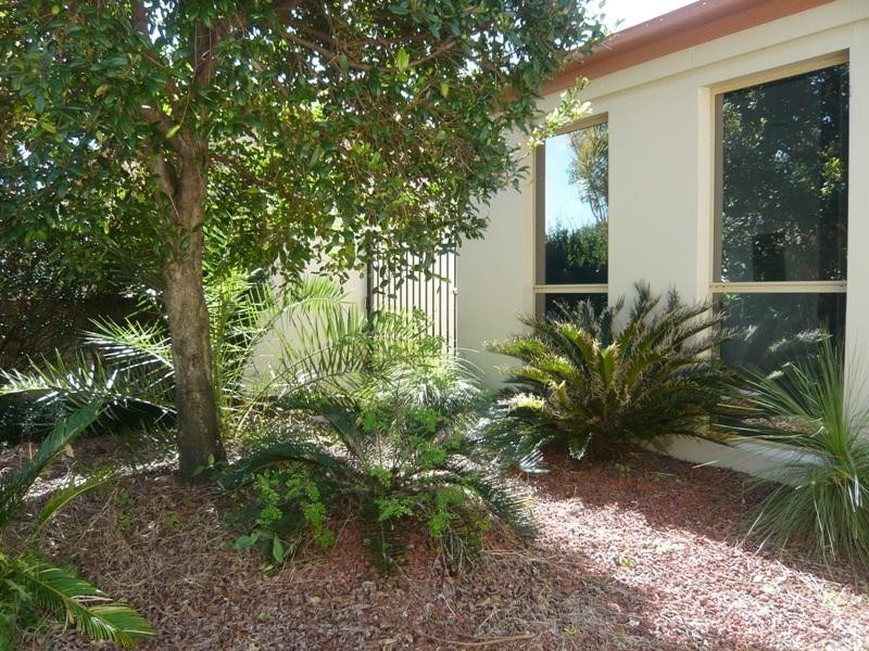 6 Redbud Lane, Robina QLD 4226