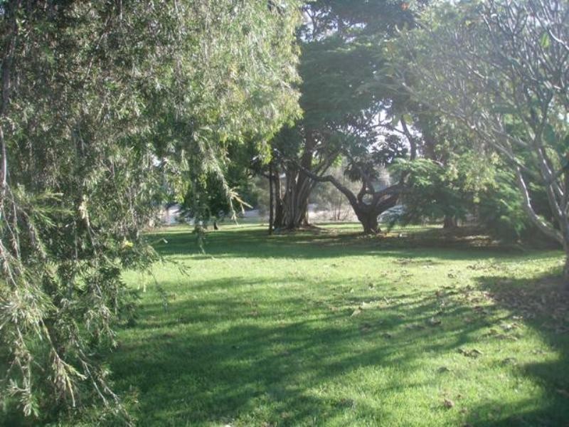 14 Parnki Parade, Palm Beach QLD 4221