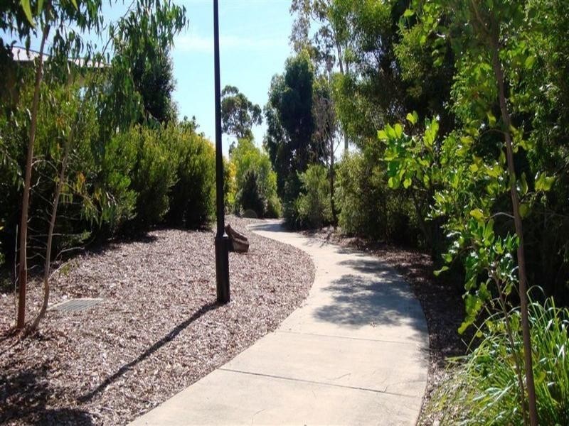 8 Andromeda Parade, Robina QLD 4226