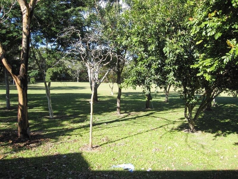 2/6 Macaw Avenue, Miami QLD 4220