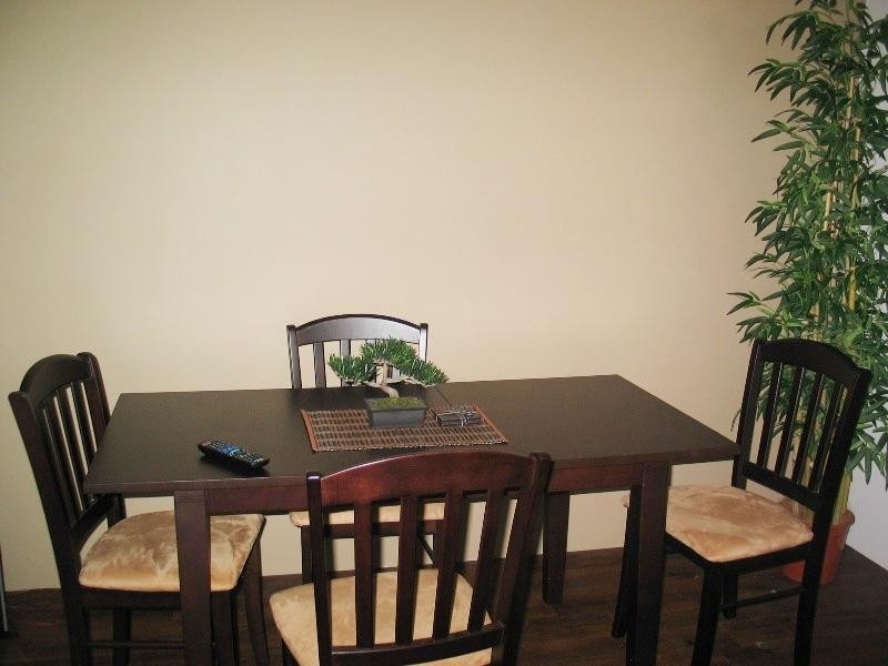 17 Britannia Avenue, Broadbeach QLD 4218