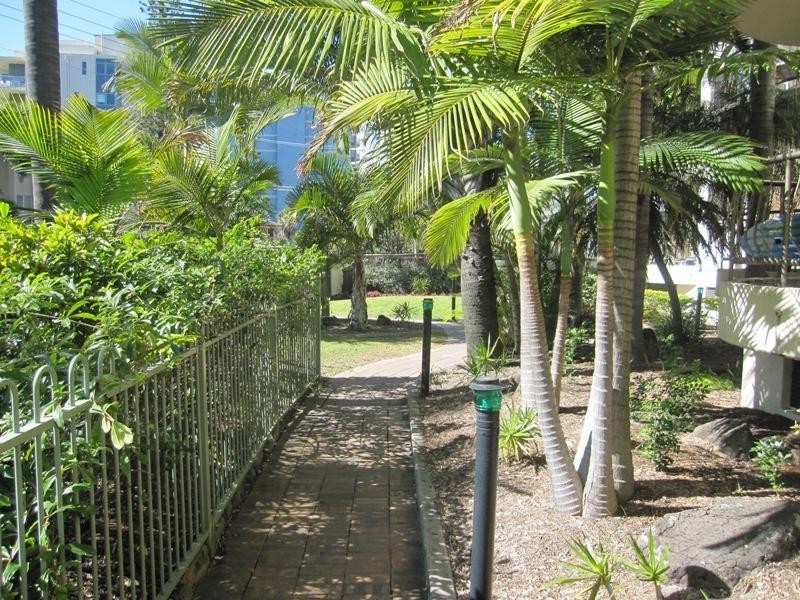 11/22 Wharf Road, Surfers Paradise QLD 4217