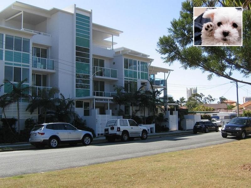 2/5 ‘Reflections On The Park’ Aruma Street, Chevron Island QLD 4217