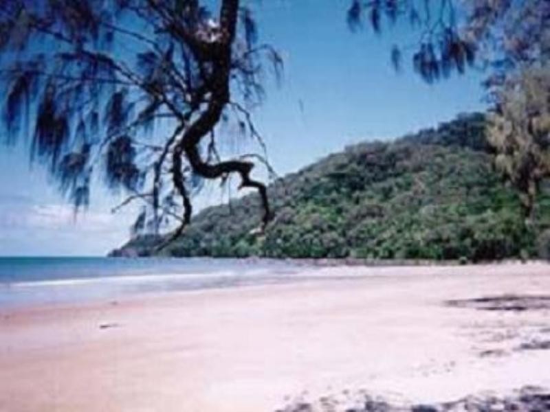 270 Kauri Close, Cow Bay QLD 4873