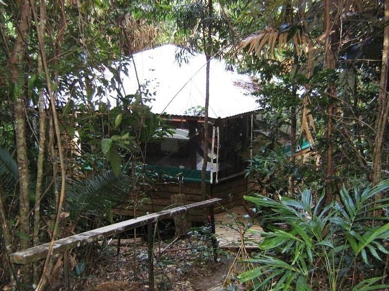 270 Kauri Close, Cow Bay QLD 4873