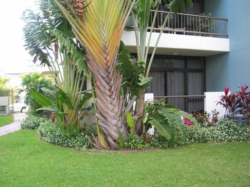 2 ‘Alexander’, 2943 Gold Coast Highway, Surfers Paradise QLD 4217