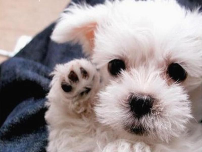 603 Broadbeach On The Park, 2685 Gold Coast Highway, Broadbeach QLD 4218