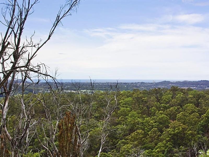 66 Golden Valley Road, Tallebudgera Valley QLD 4228